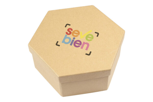 Set de pinturas Hexágono - Imagen 5