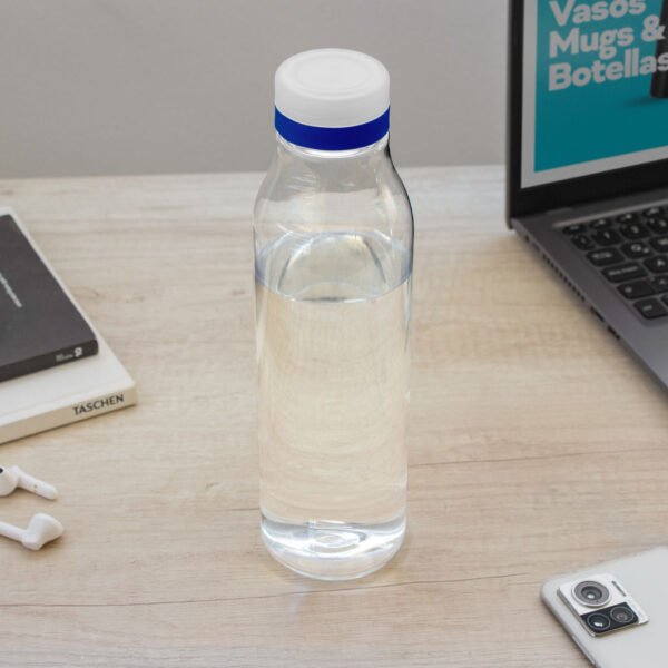 Botella "ANDINA FROST" - Imagen 10