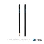 Lapiz Negro con Goma