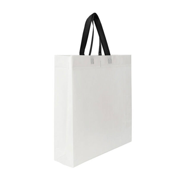 Bolsa Shiny 40x38x10 - Imagen 9