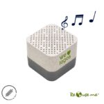 Parlante Wireless Earth