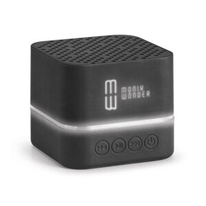 Speaker Lighting Logo
